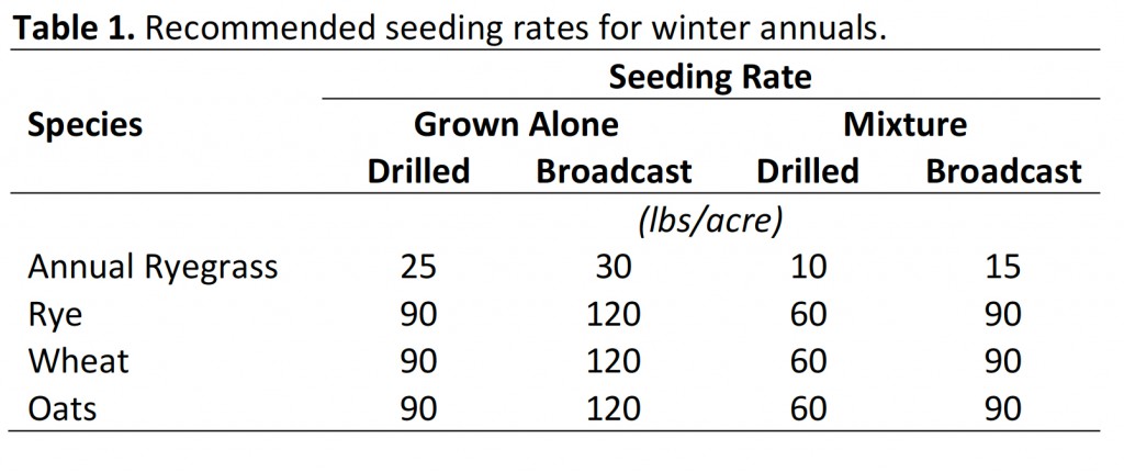 Seeds Per Pound Chart