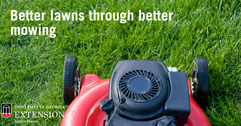 Better lawns clearance