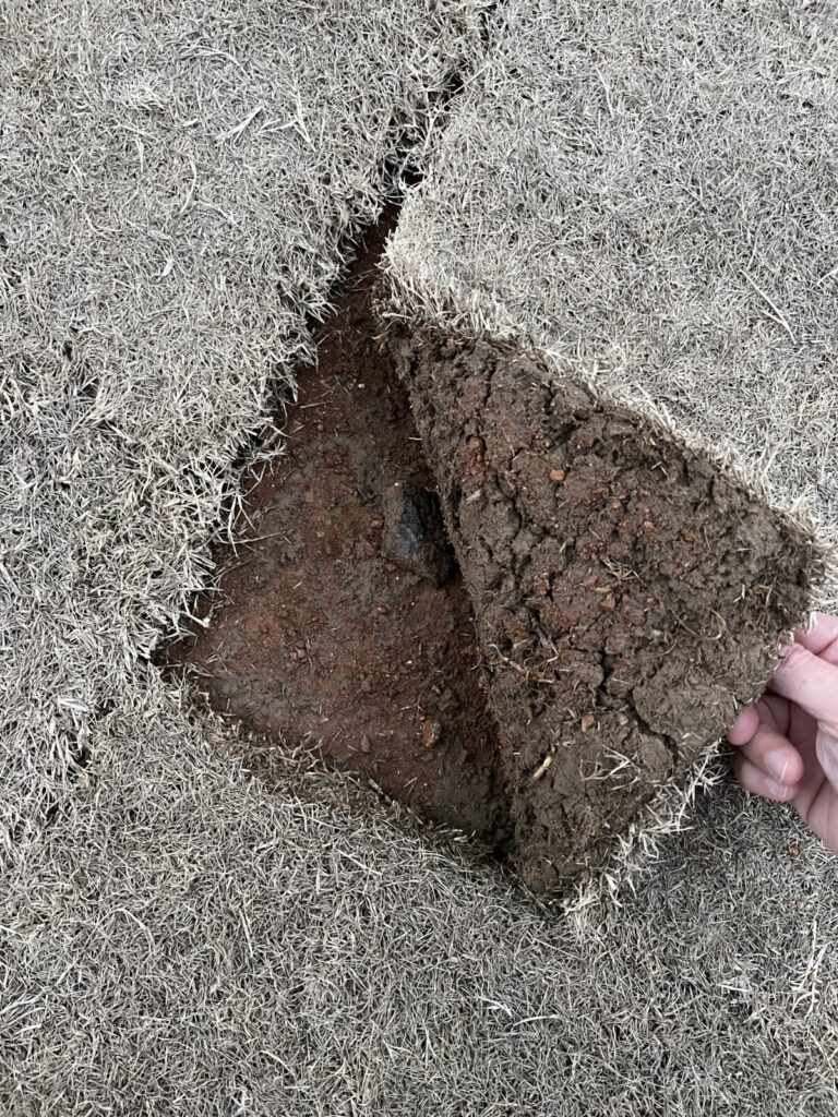Dormant Sod