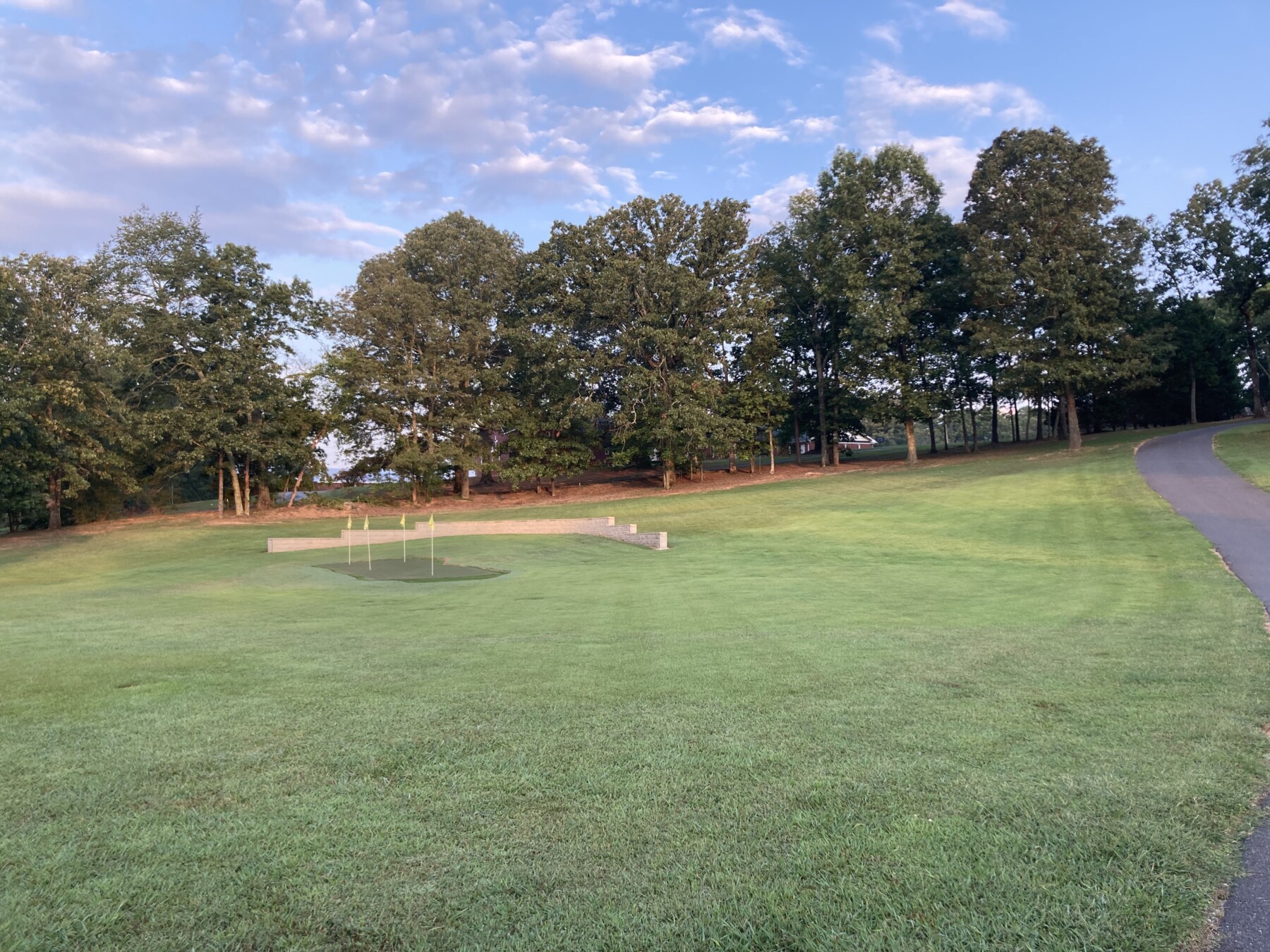 Home lawn putting green