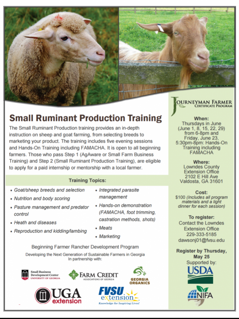 Small Ruminant Production Training Brooks County Ag Connection
