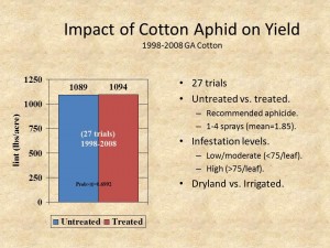 Impact of Cotton Aphid on Yield