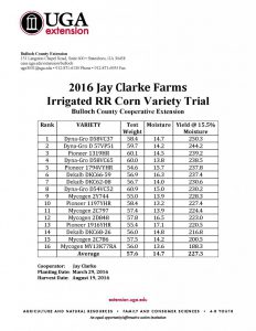 2016 Jay Clarke Farms Irrigated RR Corn Variety Trial.doc