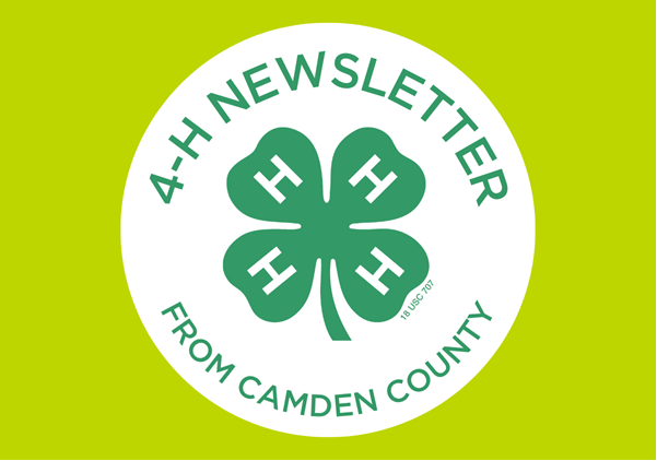 4-H Newsletter from Camden County