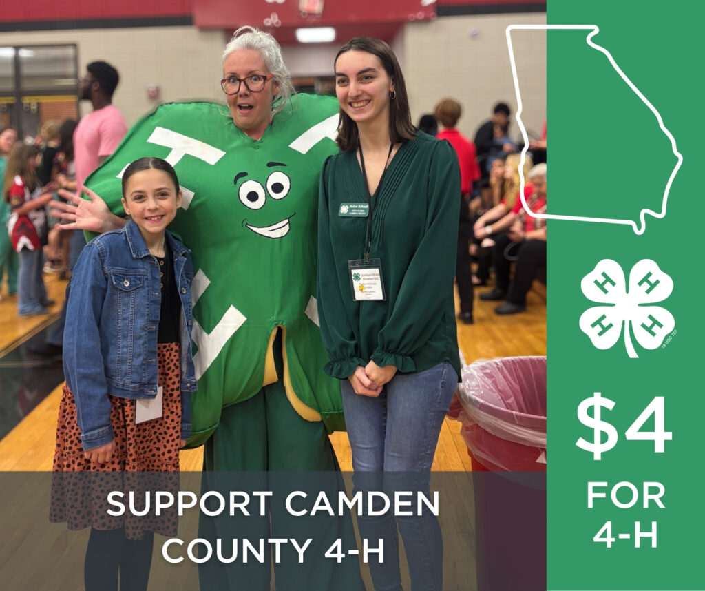 4-H Agent in a clover costume with teen leader 4-Her and cloverleaf 4-Her