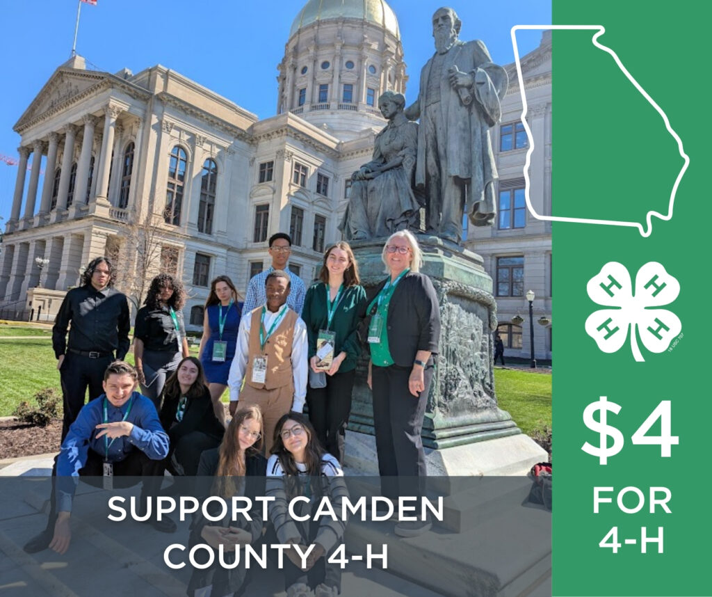 Sr. 4-Hers in front of Capitol building with 4-H agent during 4-H Day at the Capitol