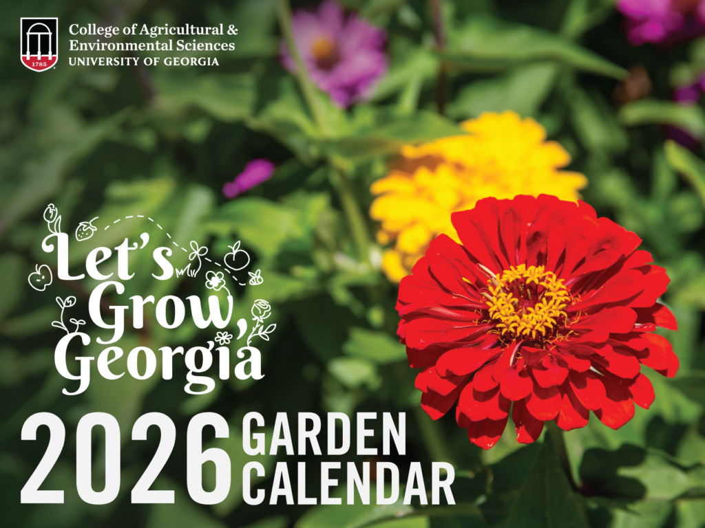 Lets grow georgia pic of flowers in garden