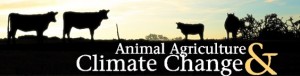 aacc cows logo