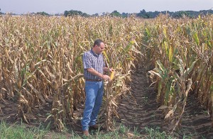 corn harvest ars usda k10026-1