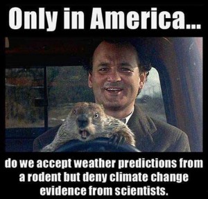 bill murray and groundhog