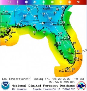 fl forecast lows for Friday 2-20-2015