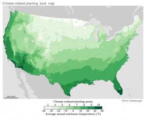 planting zone map