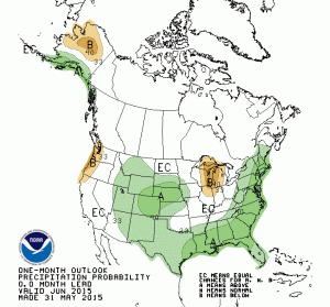 jun15 precip outlook