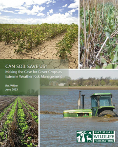 Cover-Crops-Report_Trisha-White_400x495