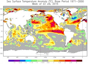 Sea surface temperature anomalies July 22, 2015.  Source: National Centers for Environmental Information