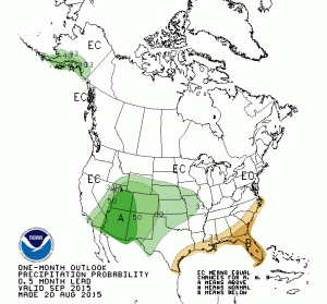 s 15 precip