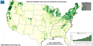 christmas tree production by county