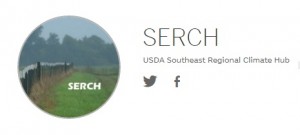 serch 3 logo