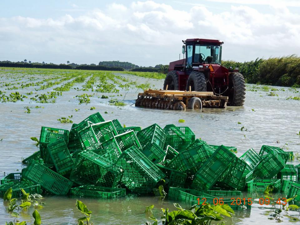 November flooding caused millions of dollars in damage to South Florida