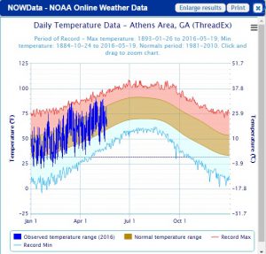 nowdata temperature map