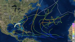 2012 Atlantic hurricane tracks, with Debbie highlighted in white.  Debbie was the next earliest D storm.  Source: National Hurricane Center via WunderBlog