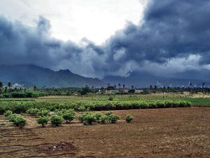 Monsoon clouds near Nagercoil. Source: PlaneMad, GFDL / CC by SA