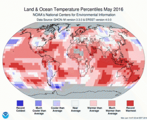 global may 2016 temp