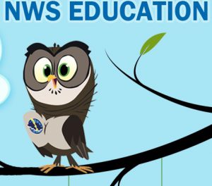 owlie skywarn