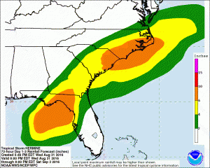 hermine rainfall 8-31-2016 11 pm