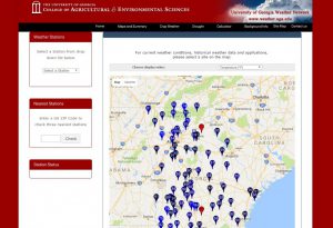 uga network new web page