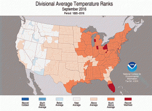 sep-16-temp-dep-by-cd