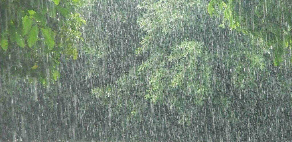 heavy rainfall in rainforest