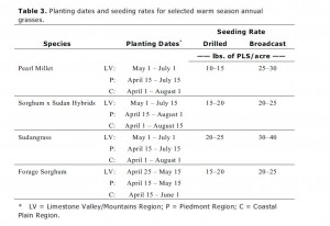 seeding rates