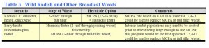 wheat broadleaf control