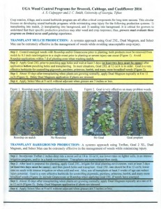 first page to weed control in broccoli, cabbage, cauliflower