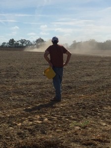 soybean trial pic 5