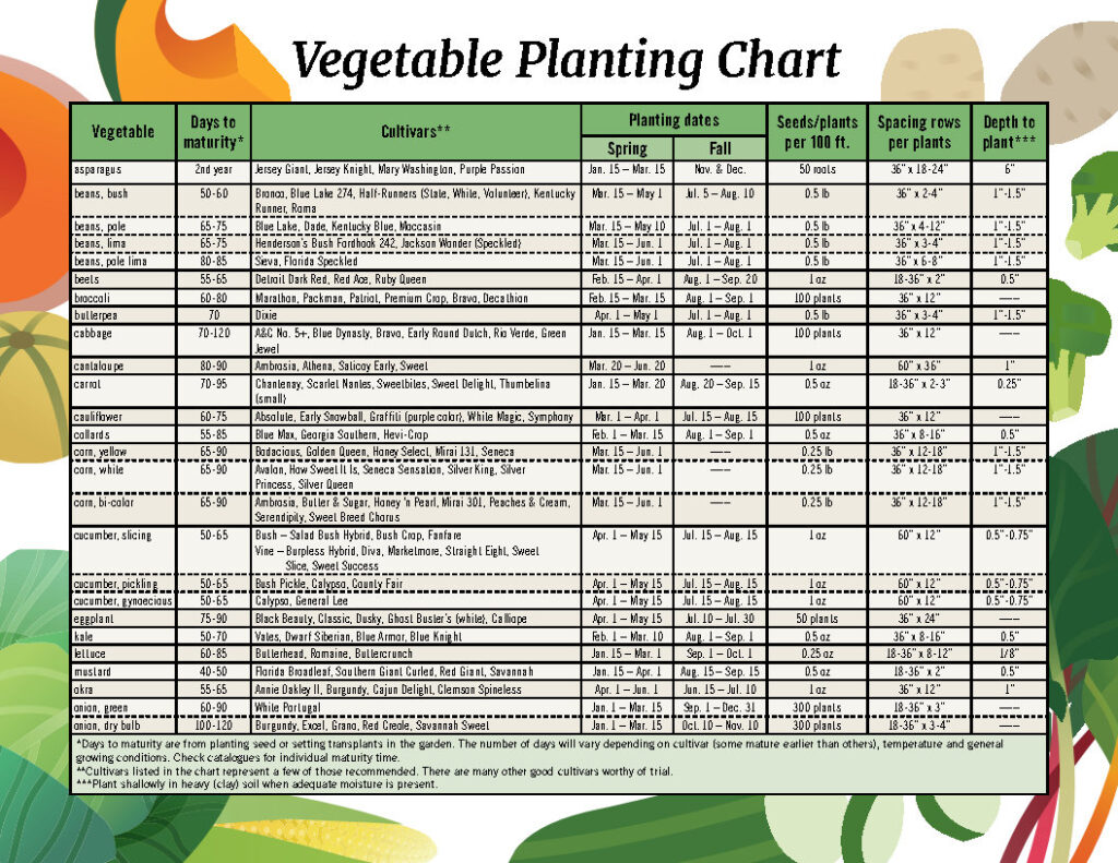 Vegetable Planting Chart