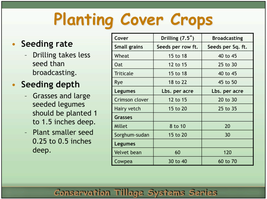 Cover Crop Seeding Rates