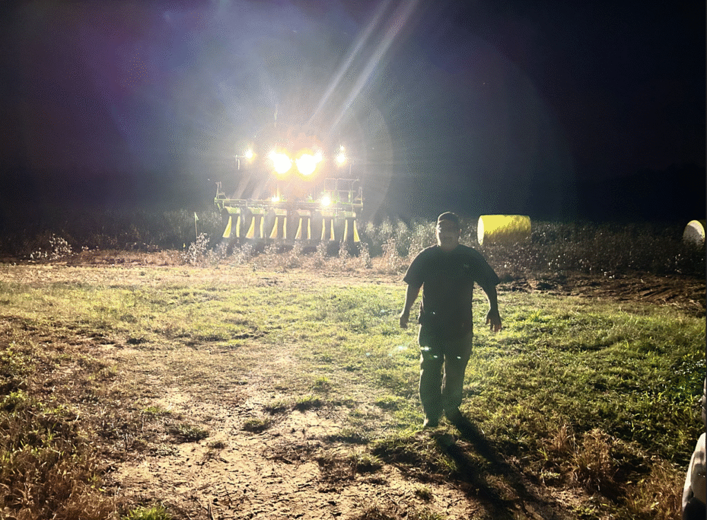 Picking Cotton Variety Trial.