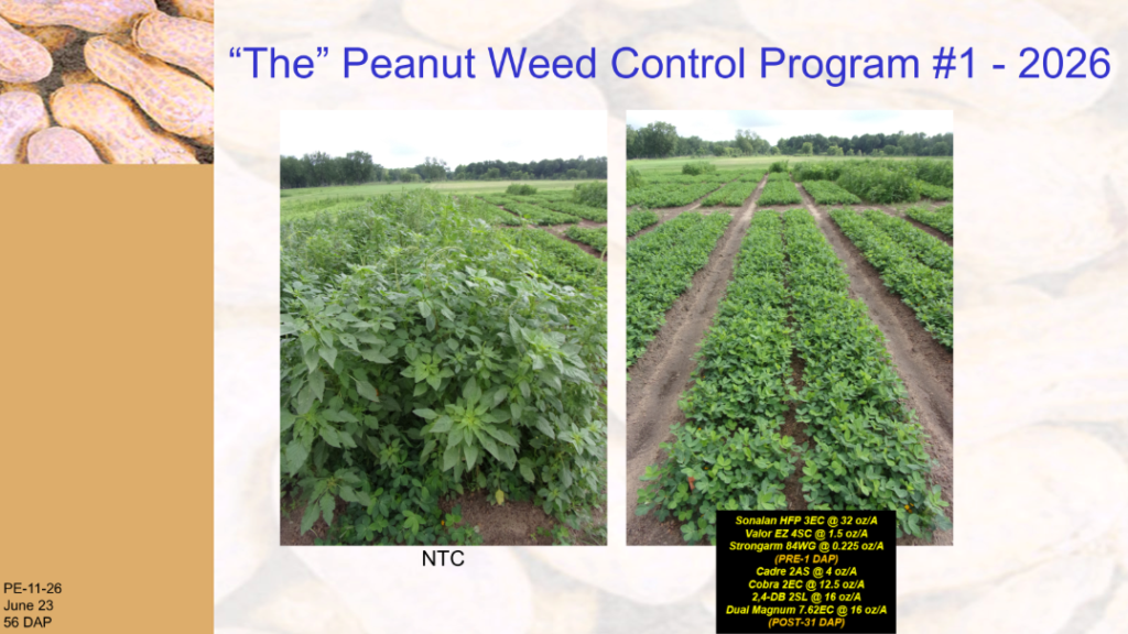 peanut weed control program results image.