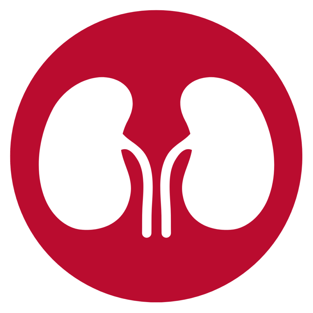 Red circle with white outline of kidneys
