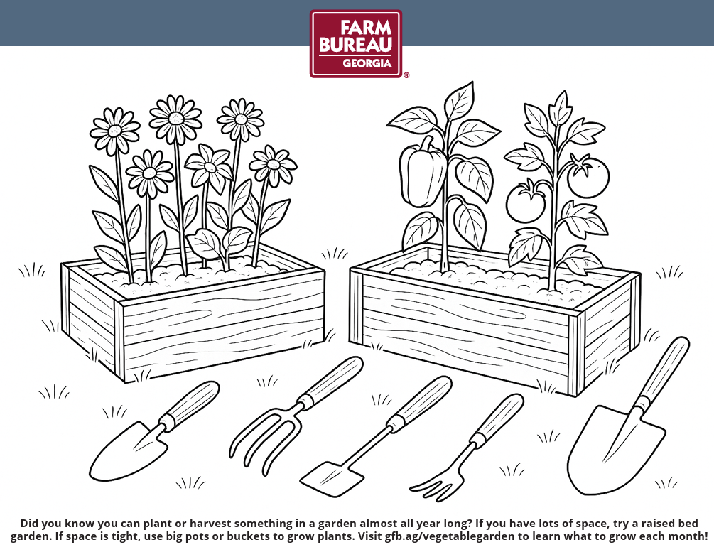 Garden coloring sheet