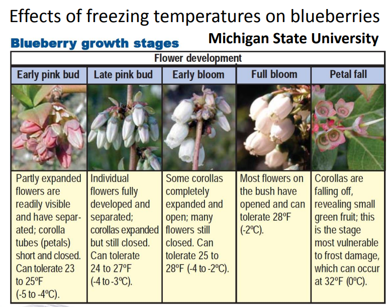 Advective Freeze Warning for Fruit Growers A Fruitful Discussion