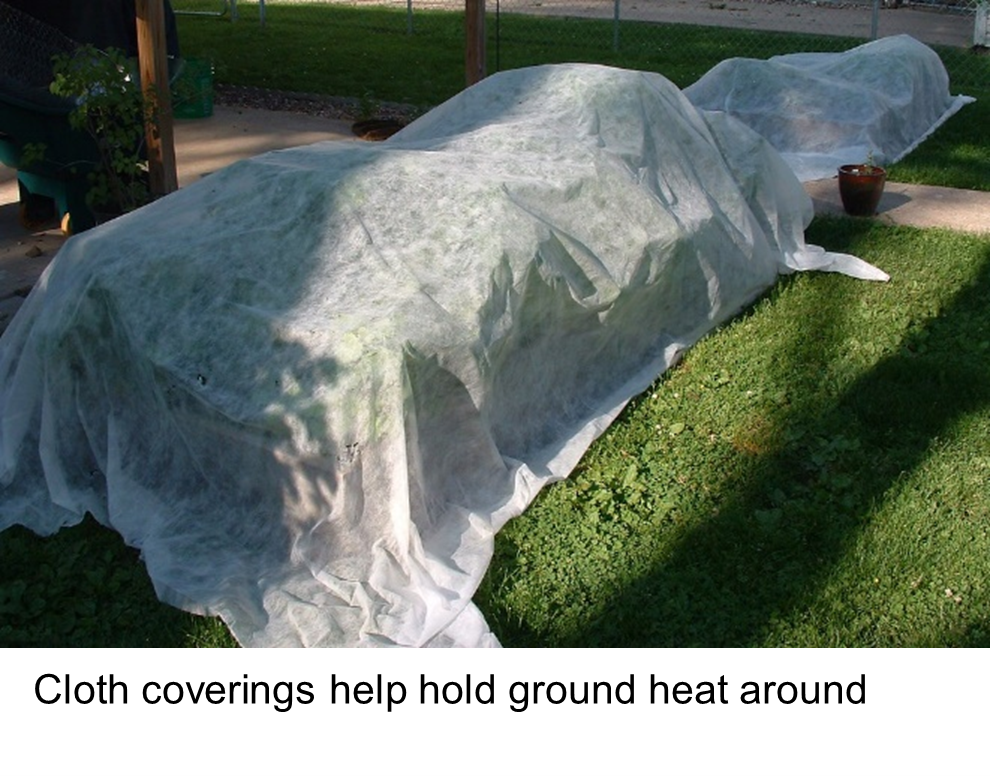 Keep Plants Cozy in the Cold UGA Extension Forsyth County