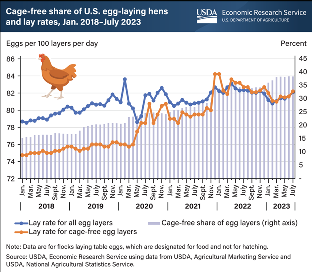 A graph showing how egg output is not adversely affected by keep the flock cage-free