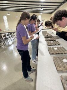 Several students carefully examine chicken eggs