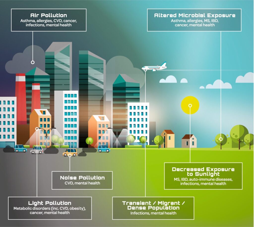 An infographic showing differences between living in the city versus outside metropolitan areas.