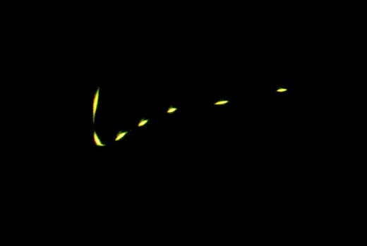 A nighttime photo which captured the flash pattern of a loopy firefly
