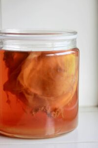 A clear glass jar with an amber liquid and a diaphanous looking solid matter inside.