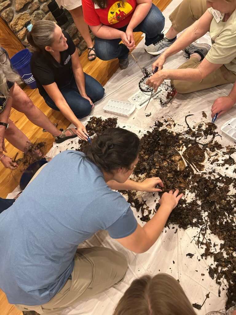 Two adult leaders leaning over scattered soil and show youth how to look for macroinvertebrates.